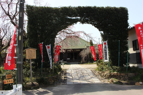 桜咲く岡崎藤川宿ののどかな景色（明星院）。粟生人形工房から１００ｍのお寺です。