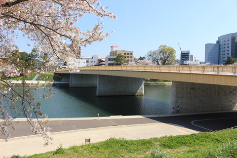 春の桜城橋 に行きました。人気ユーチューバーグループ「東海オンエア」等身大パネルもあるよ