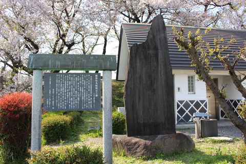 桜の名所、黄金堤（こがねづつみ）と鎧ケ淵古戦場 愛知県西尾市吉良町
