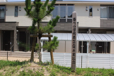 祝！　藤川の松並木　県指定文化財に指定されました。旧東海道５３次　藤川宿にお立ち寄りの際、是非どうぞ